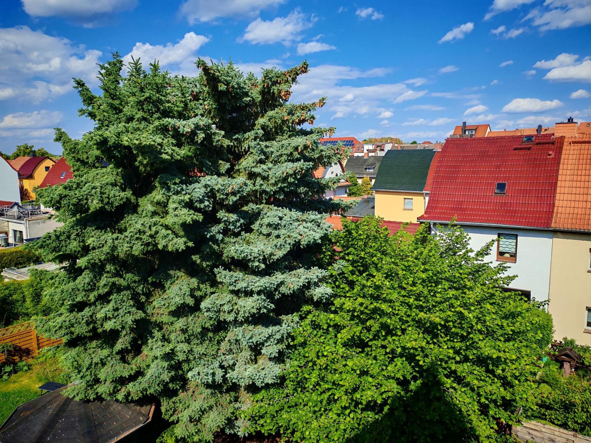 Domstadt Apartments Merseburg Dış mekan fotoğraf